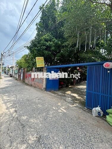 Mt đường 35 nhà cấp 4 sieu rẻ 78m2 hiệp bình chánh đúng 1 căn 1