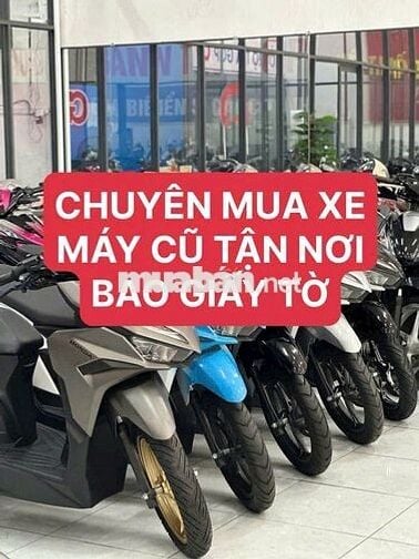 THU MUA XE NHANH TRONG 24H