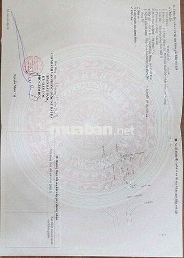 Bán Đất Sổ Riêng 117,5m2 Thổ Cư Hết Bên Trung Tâm Hành Chính Bàu Bàng