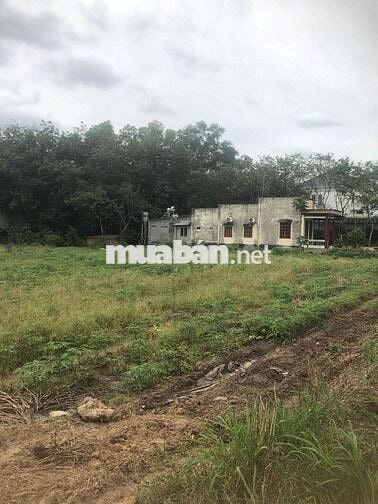 Phước Thành, Phú Giáo cũ cần bán 1 lô đất ngang 10m mt đường huyện