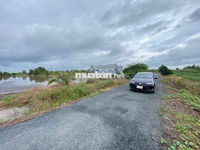 🌸BÁN ĐẤT GẦN KCN TÂN PHƯỚC 1 & 2 TIỀN GIANG🌸