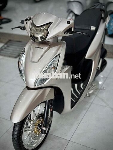 Vision 2023 Bánh Lớn Kiểng chính chủ ký 🔥🔥🔥