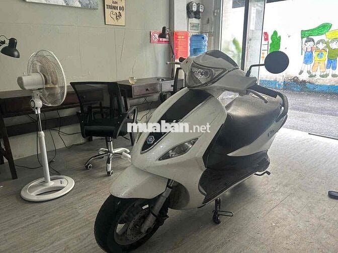 xe fly đẹp giá tốt