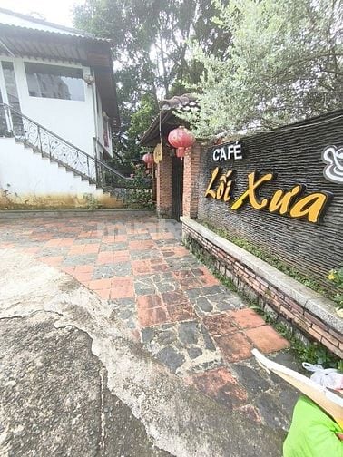 BÁN GẤP NHÀ 2 MẶT TIỀN HẺM LÊ VĂN TÁM P2 TP BẢO LỘC 239m2 GIÁ :3,5 tỷ