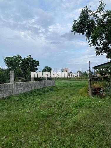 🌳 CHÍNH CHỦ BÁN ĐẤT ĐẸP GẦN VINHOMES HÓC MÔN – GIÁ TỐT! 🌳