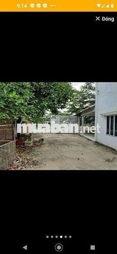 Nhà mặt tiền Ngã ba Ấp Chánh, Đường Bầu Sen