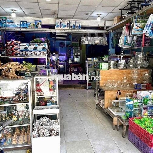 Mặt tiền Đặng Văn Bi – 125m2– được phép xây 8 tầng – 24.4 tỷ