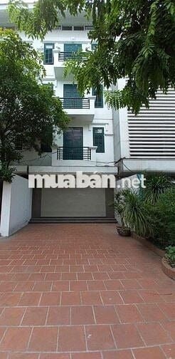 Cho thuê nhà nguyên căn phố Hoàng Cầu