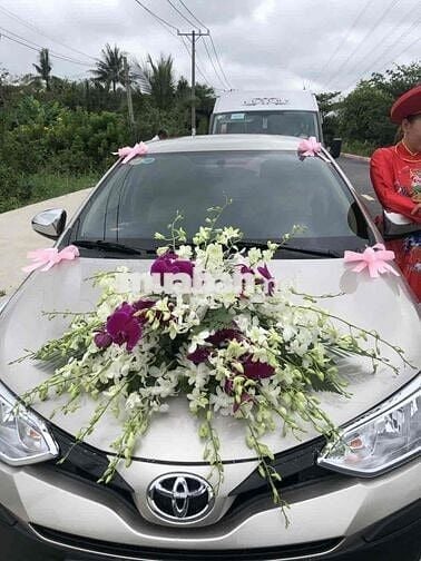 Toyota Vios 2019 1.5E MT - 82000 km