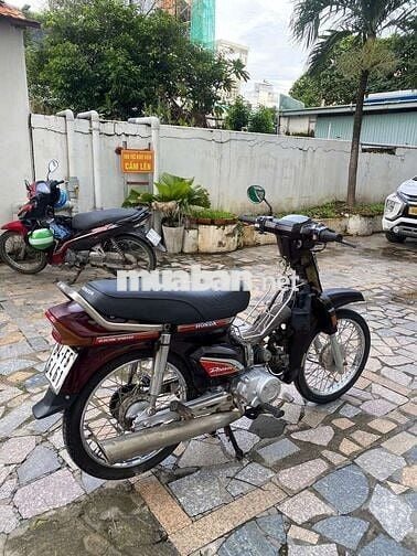 Xe dream Hàn Quốc