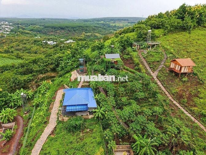 870tr/ 1000m2 VƯỜN XANH GIÁP SUỐI - VIEW HỒ TRỊ AN