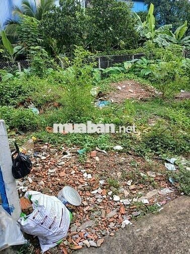 Ban đat thuan an phuong hung đinh