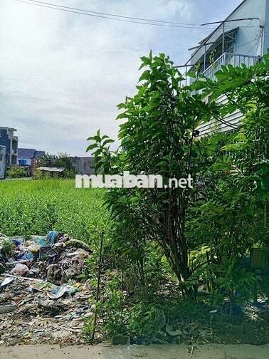 Đất đẹp cao ráo ngay chợ khu trung tâm sầm uất