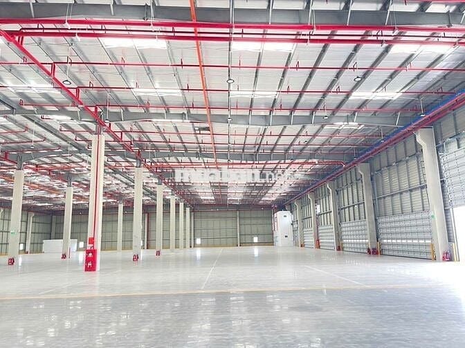 CHO THUÊ KHO XƯỞNG NGOÀI KCN BẾN LỨC 3000M2, PCCC TỰ ĐỘNG, ĐƯỜNG CONT