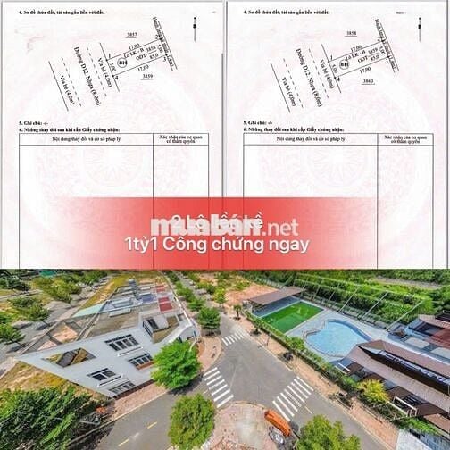 Chính chủ bán cặp liền kề ngay trường Đại Học Việt Đức 10x17, Sổ Sẵn