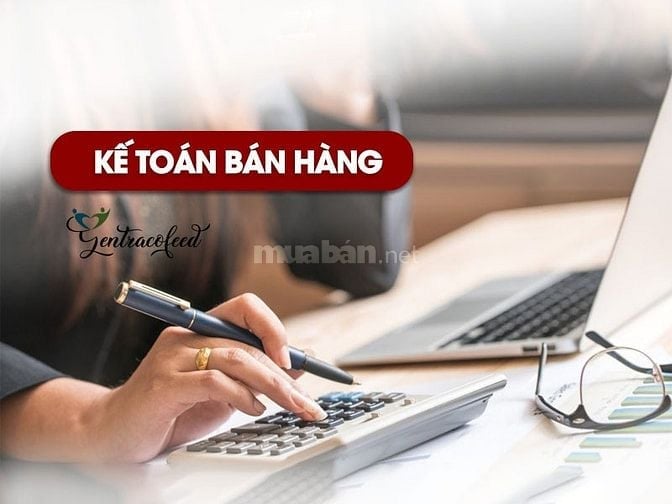 Do gần tết Công ty cần gấp kế toán bán hàng 
