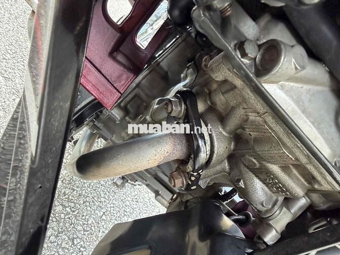 ex 2010 chinh chu bá hoac giao luu