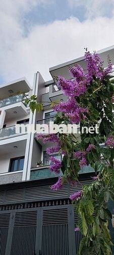 Cho thuê phòng 30m2, KDC Đại Phúc, Phạm Hùng, Bình Hưng, Bình Chánh