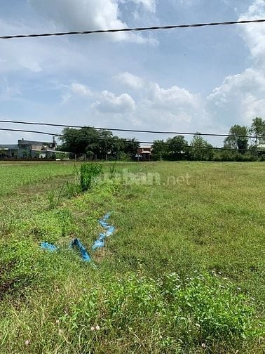 Chủ cần tiền trả nợ cho con út bán-Đức Hòa Thượng 7x32 ,224m2 850tr