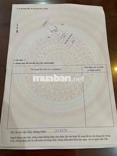 Tái Định Cư Hố lang Tân Đông Hiệp  TP HCM