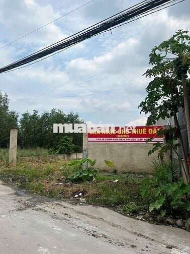 Đất sổ đỏ, Phước Tân, 2932m2, 6.5 tỷ,Võ Nguyên Giáp vô 150m,xe cont đi