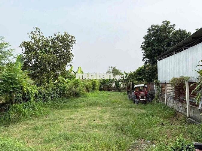 🏡 BÁN LÔ ĐẤT SIÊU ĐẸP – MẶT TIỀN NGUYỄN VĂN KHẠ, XÃ PHÚ HÒA ĐÔNG, CC