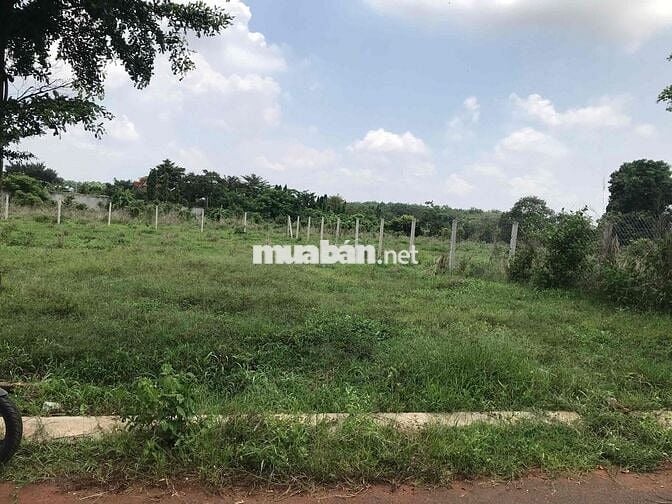 CHÍNH CHỦ BÁN LỖ ĐẤT THỔ CƯ SÔNG XOÀI CHO ANH CHỊ ĐẦU TƯ