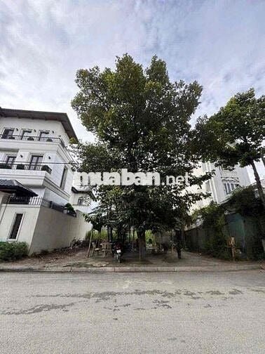 ĐẤT XÂY BIỆT THỰ ĐƯỜNG 12M , XÂY TỰ DO KHU DÂN TRÍ CAO