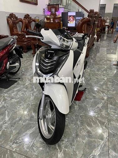 SH 125 biển đấu giá