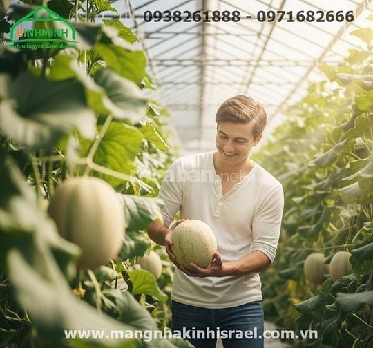 Màng Nhà Kính:Mang Lại Hiệu Quả Kinh Tế Vượt Trội