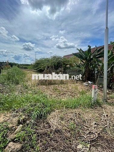 Đất mặt tiền lộ nhựa Cần Thơ giá chưa tới 4,5 tỷ