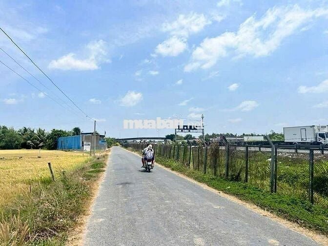 🌹 Đất thổ+lúa dt 1008m có 470m thổ còn lại lúa giá 2tỷ8 thanh đức B,L