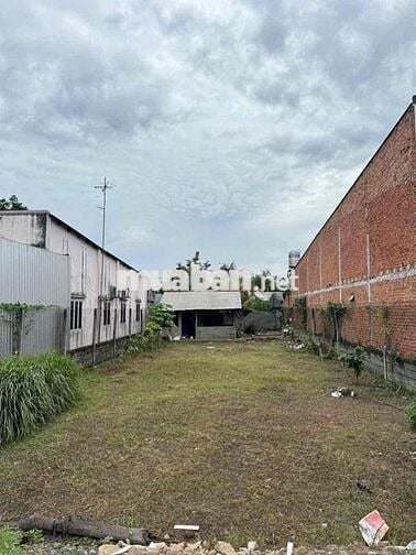 🏡 BÁN LÔ ĐẤT ĐẸP – XÃ TÂN PHÚ TRUNG, HUYỆN CỦ CHI (KHU CỦ CHI MỚI) 🏡