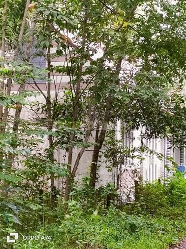 Chính chủ bán đất thổ cư, 1 sẹc Tỉnh Lộ 7, xã An Nhơn Tây, Củ Chi