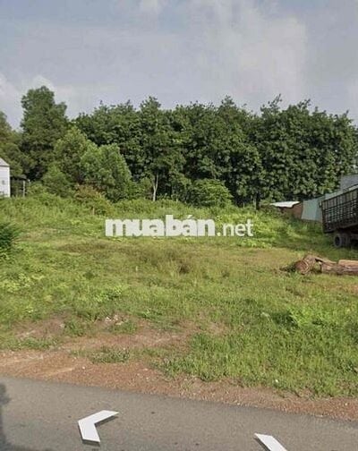 Chủ gửi lô đất giá rẻ gần chợ An Linh SHR công chứng ngay