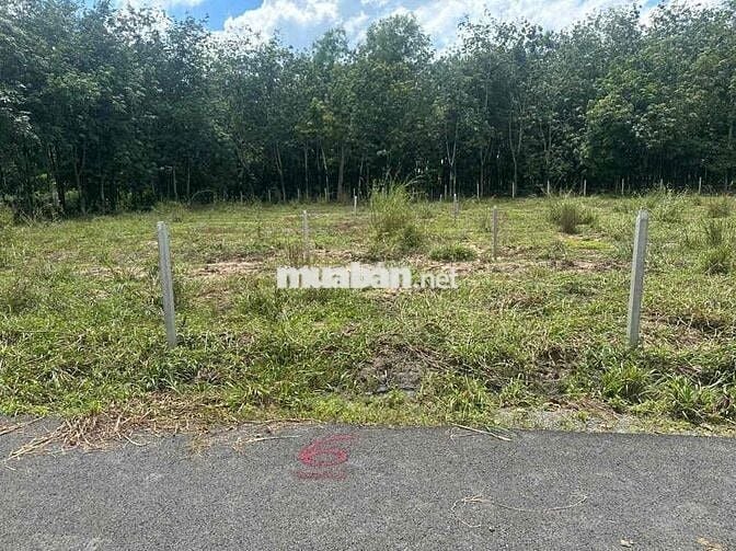 Cách DH chỉ 100m có lô đất vuông vứt 225m2 giá cực mềm chỉ 320tr