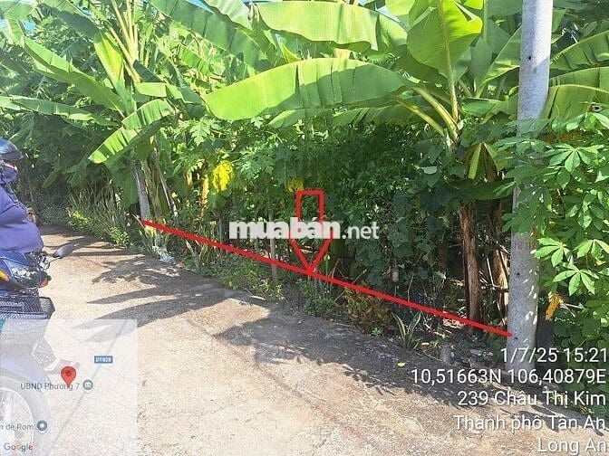 Bán đất ĐẸP 6m x 41m FULL THỔ CƯ hẻm Nguyễn Văn Trung, P7, TP Tân An