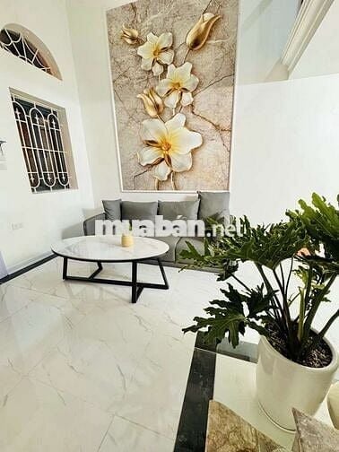 Bán nhà Tân Mai 30m2, 3 ngủ - ngõ thông 10m ra ô tô, giá 3.9 tỷ