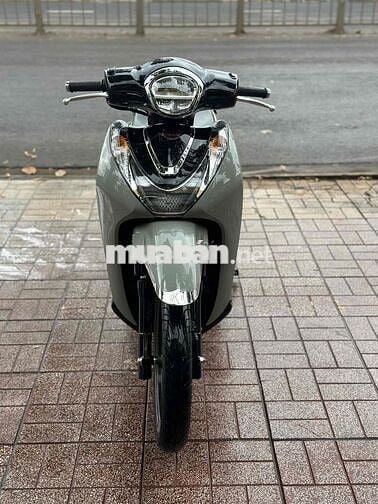 sh mode xám xi măng 2025