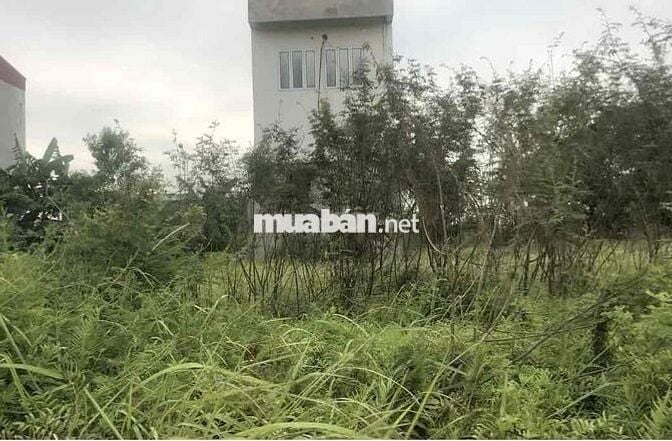 Đất 100m2 ngang 5m MT đường 12m Anh Dũng 5 chỉ 1,86 tỷ