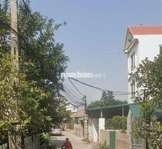 ✅ BÁN NHANH NHÀ ĐẤT VUÔNG ĐẸP SỔ 55m2 GIÁ BAY NHẸ 4,35 TỶ