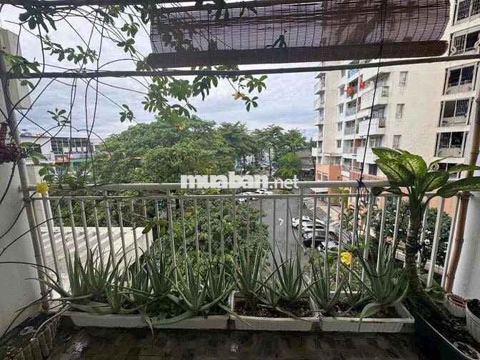 BÁN GẤP CHUNG CƯ VĨNH TƯỜNG - 89m2 -  2 tỷ 600 -SHR