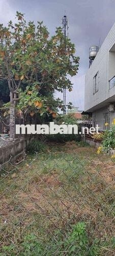 Bán gấp lô đất Liêu Bình Hương 200m2 giá chỉ 1 tỷ 1