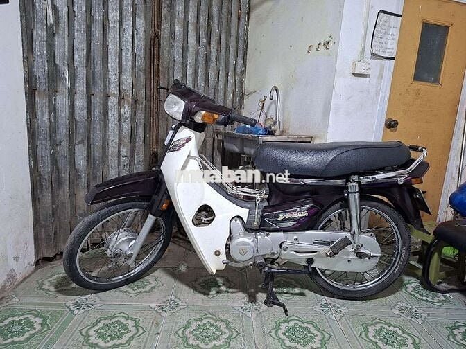 Dream việt nam nguyên bản mộc mạc