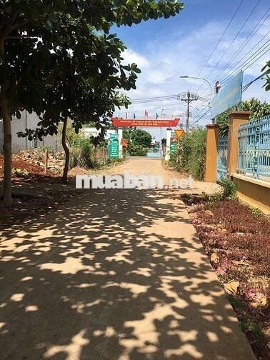 Chỉ 250tr sở hữu nền đất siêu rẻ khu dân cư hiện hữu