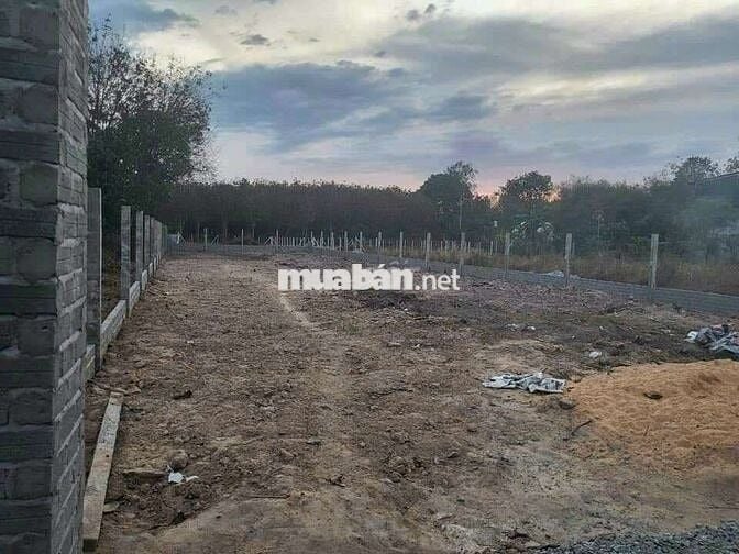 Chủ bán đất gần trường tiểu học Lai Hưng B ( Bến Tượng Bầu Bàng