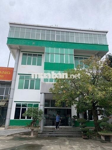 Toà nhà văn phòng 4 tầng cho thuê