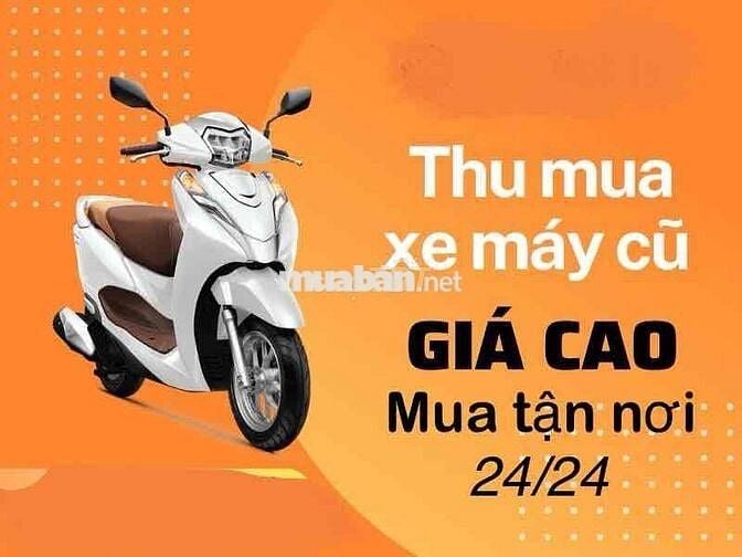 THU MUA XE CỦ GIÁ CAO XE NÀO CŨNG MUA