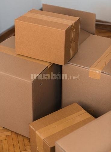 🔥 Công ty xin tuyển dụng 2 lao động phổ thông,khu vực Tân Bình 