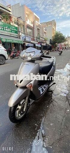 Lead chống điện Fi